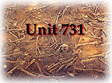 UNIT 731